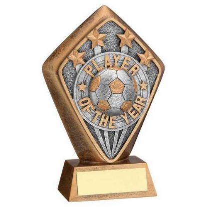 BRZ/GOLD DIAMOND HOLDER WITH PLAYER OF THE YEAR DISC AND PLATE