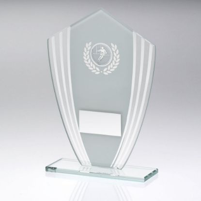 WHITE/SILVER GLASS SHIELD PLAQUE WITH RUGBY INSERT & PLATE