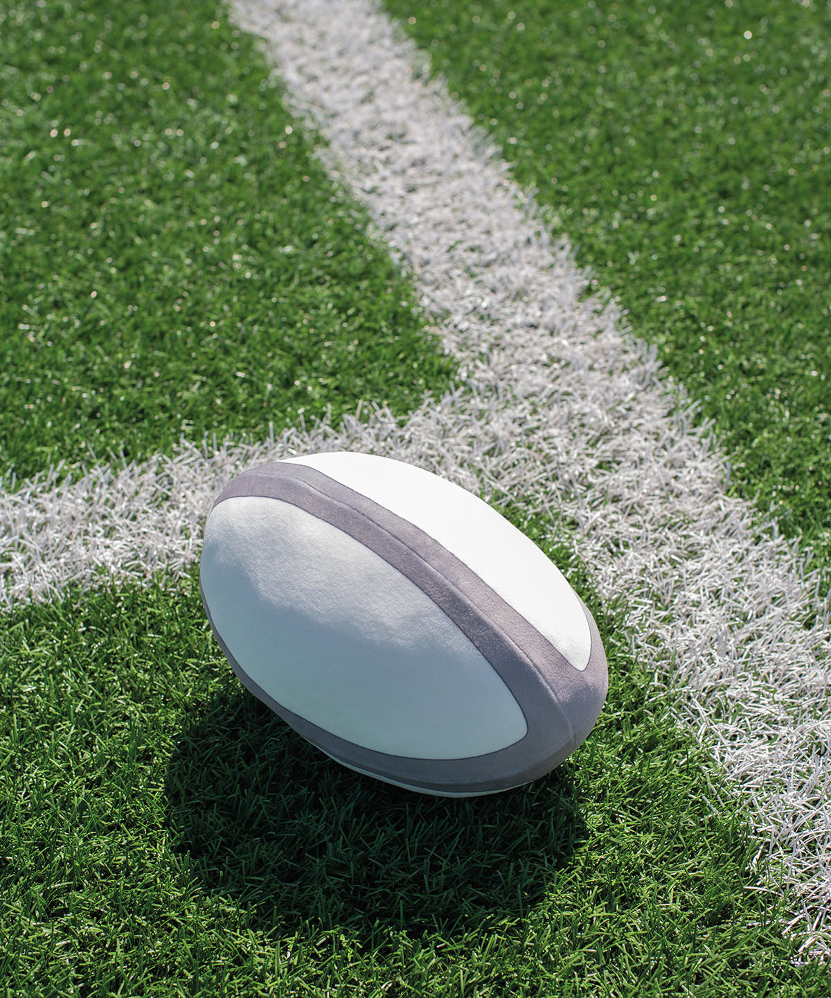 Mumbles MM584 Zippie rugby ball