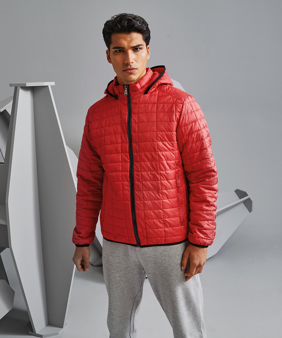 2786 TS023 Honeycomb hooded jacket
