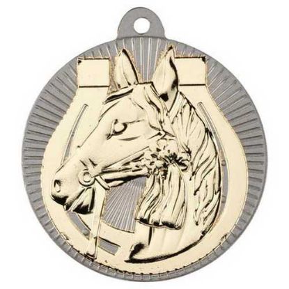 HORSE TWO COLOUR MEDAL MATT SILVER/GOLD