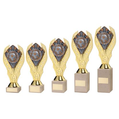 GOLD HOLDER + PLAYER OF THE MONTH DISC & CREAM MARBLE TROPHY