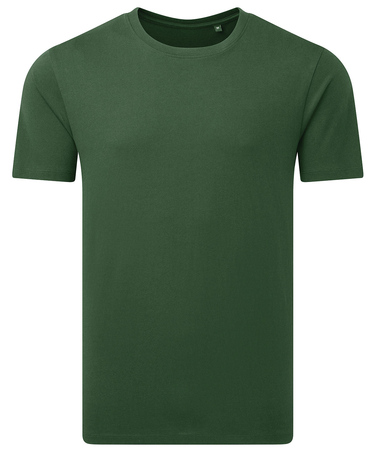 Anthem AM012 Anthem midweight t-shirt in Forest Green