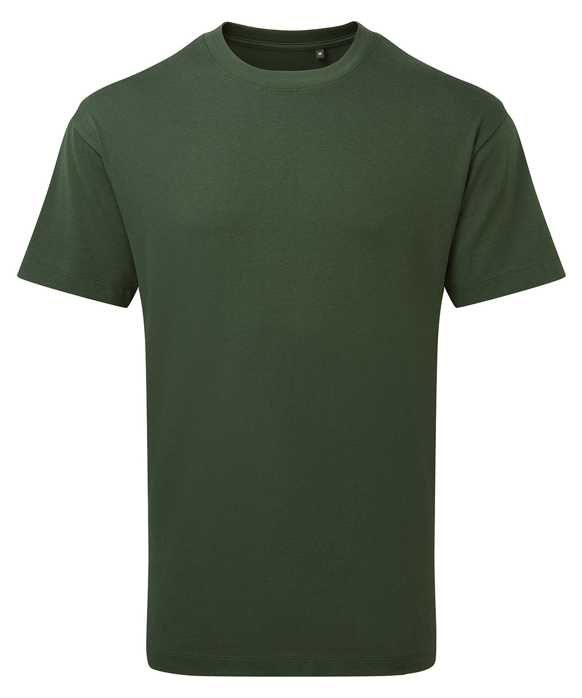 Anthem AM015 Anthem heavyweight t-shirt in Forest Green
