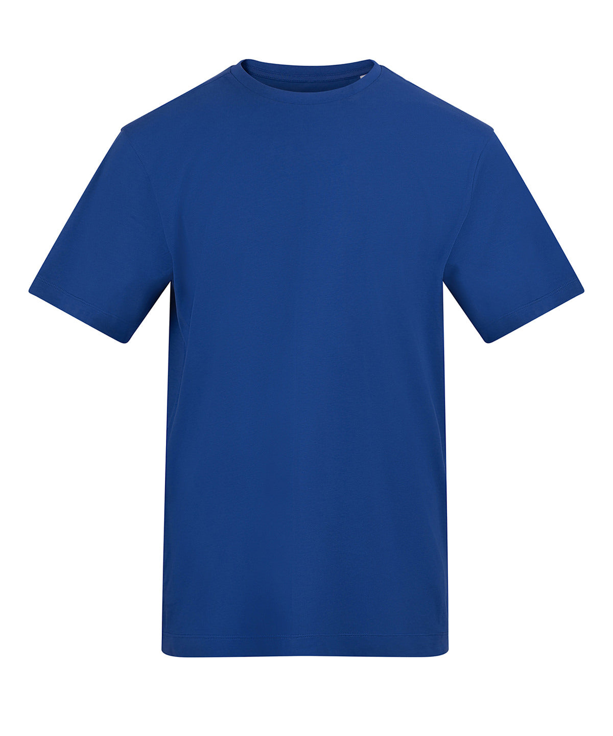 AWDis AT001 The AWDis 150 T in Royal Blue
