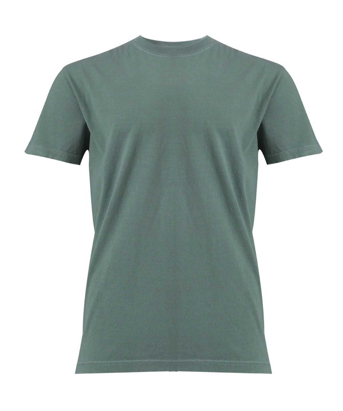 Comfort Colors® CO100 Heavyweight adult t-shirt in Light Green