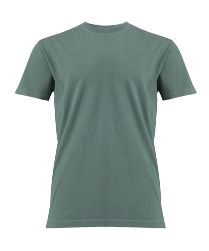 Comfort Colors® CO100 Heavyweight adult t-shirt in Light Green