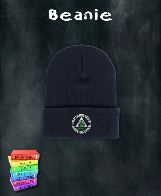 Goytre Fawr Primary School Beanie