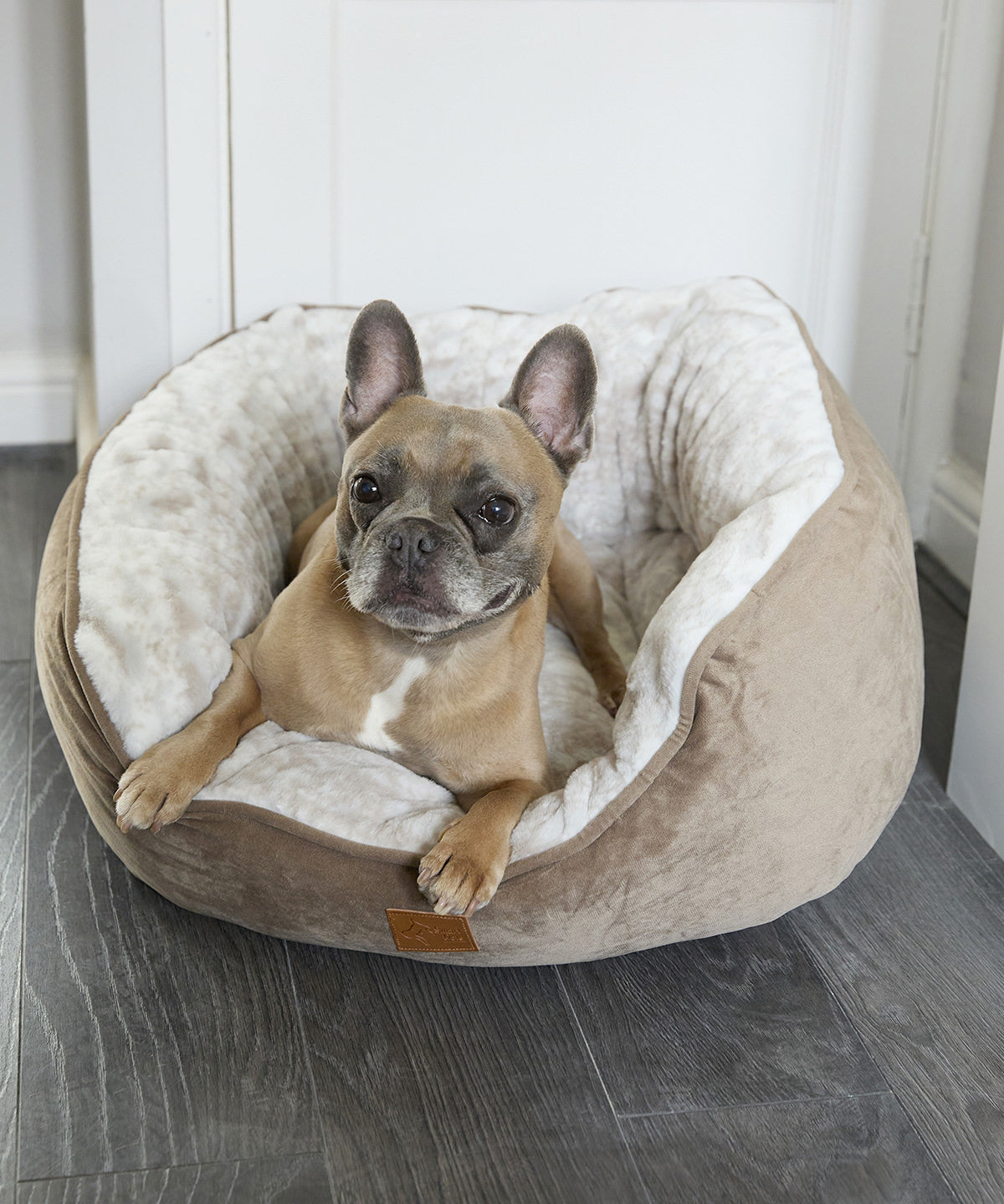 Home & Living HL234 Dog butterfly bed