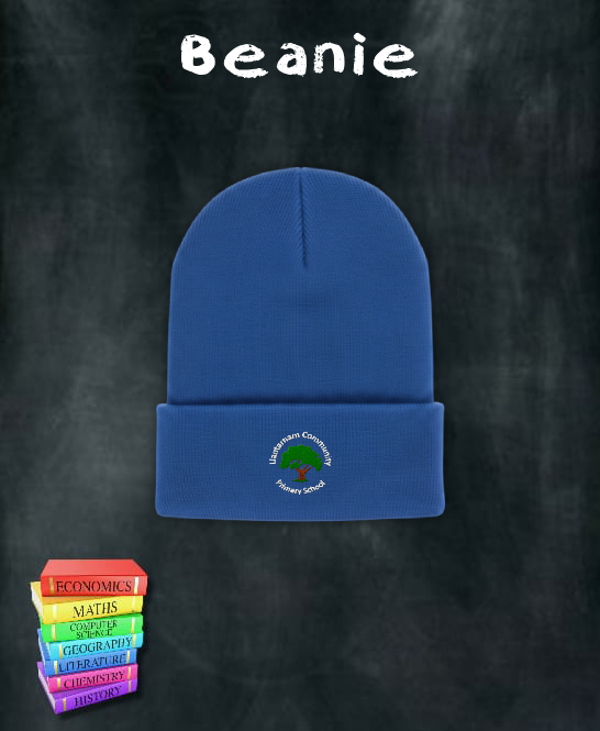 Llantarnam Primary Beanie