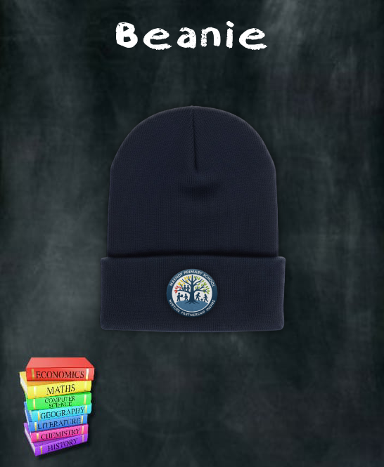 Maendy Primary Beanie