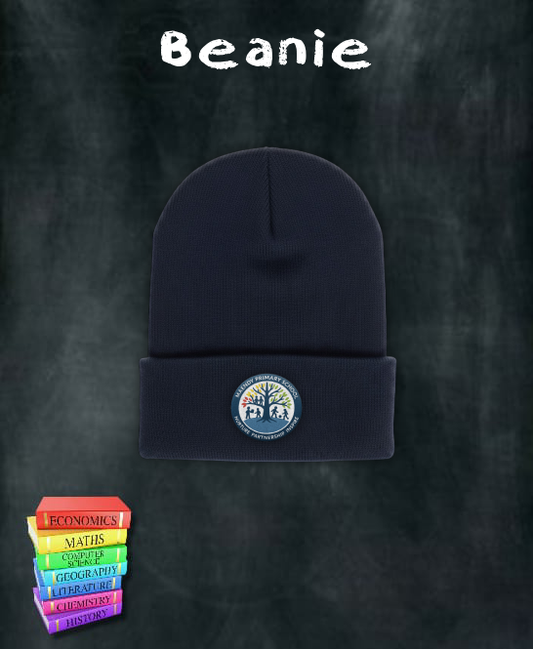 Maendy Primary Beanie
