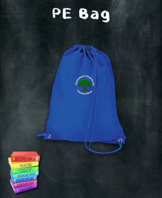 Llantarnam Primary PE Bag