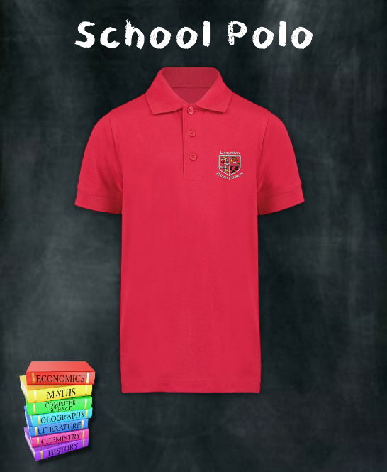 Llanyrafon Primary School Polo