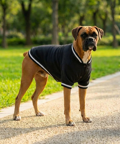 Portman & Pooch PP005 Dog’s varsity jacket