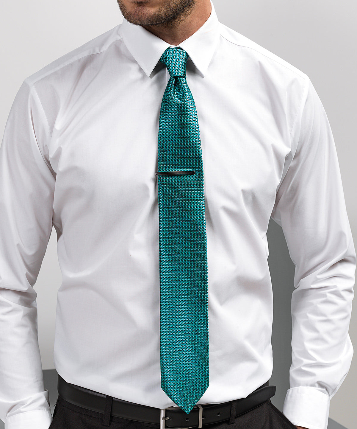 Premier PR787 Puppy tooth tie