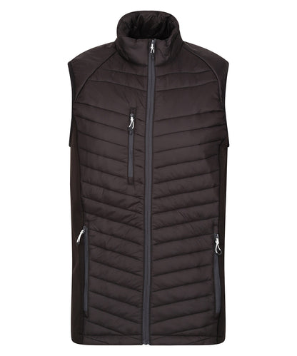 Regatta Professional RG341 Navigate hybrid bodywarmer in Black/Seal