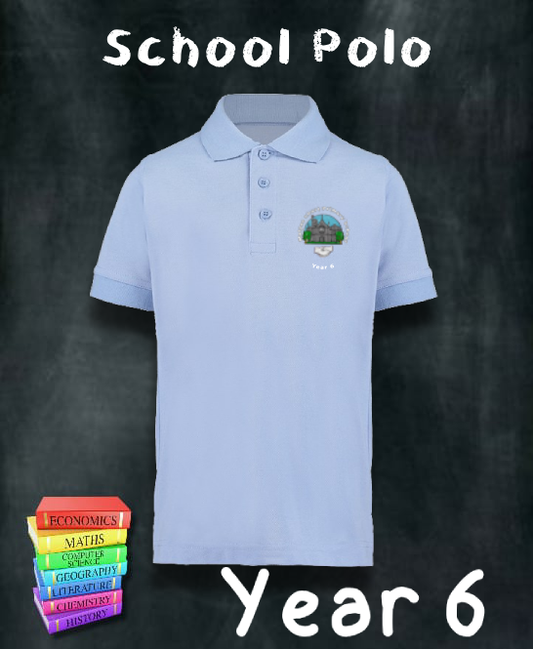 Malpas Court Primary Polo Year 6