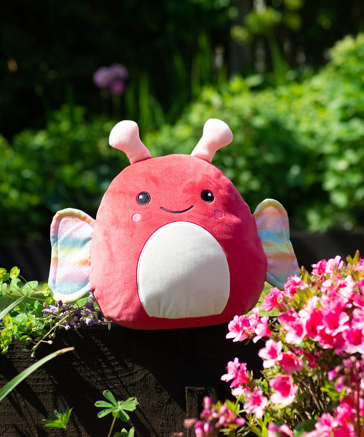 Squidgy’s